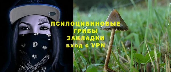 MESCALINE Горняк