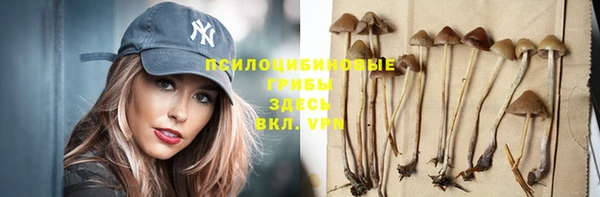 spice Горно-Алтайск