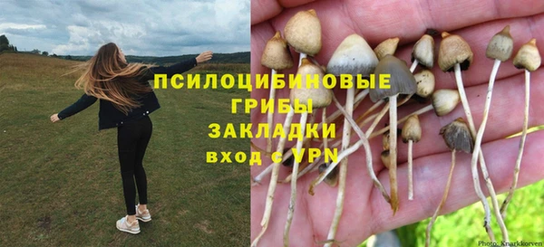 spice Горно-Алтайск
