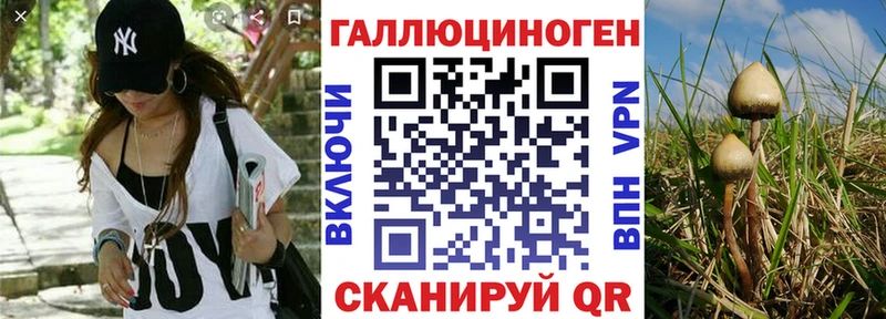 Псилоцибиновые грибы прущие грибы  Купить закладки  Миньяр 